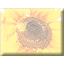 �g�b�v �A�C�R��