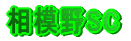���͖�SC